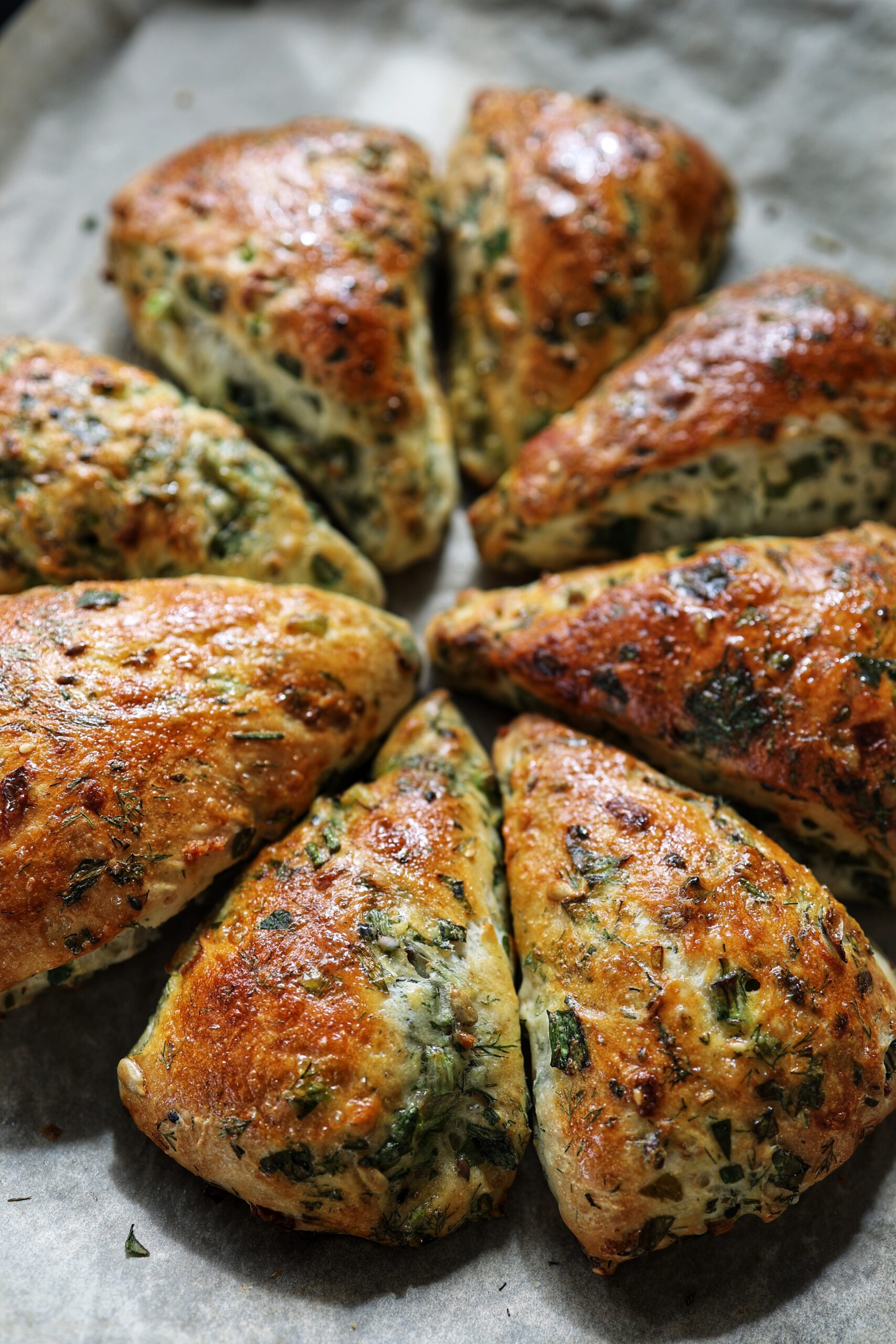 Tarcalaci cu ierburi aromatice: leurda, marar, ceapa verde si seminte – un deliciu uitat